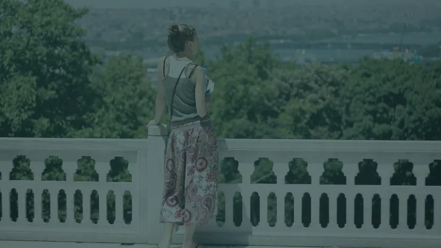 Istanbul for patients: a practical guide
